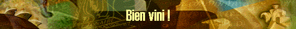 Bien vini !