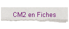 CM2 en Fiches