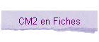 CM2 en Fiches