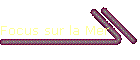 Focus sur la Mer