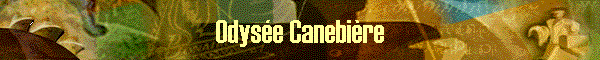 Odyse Canebire