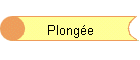 Plonge