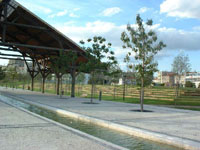 parc_11