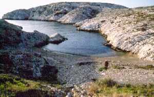 Jbfri13.jpg (11056 octets)
