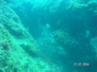 Passage Coté Face