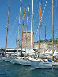 tn_ff_vdp101.JPG (12776 octets)