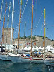 tn_ff_vdp102.JPG (13348 octets)