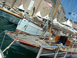 tn_ff_vdp58.JPG (17381 octets)