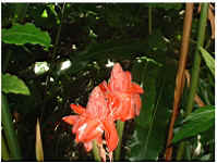 TN_ff_gwa_108.JPG (33223 octets)