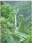 TN_ff_gwa_139.JPG (19716 octets)