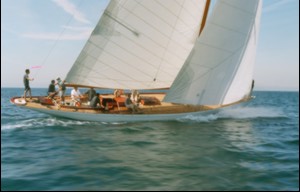 ts_vdvp_1004.jpg (14877 octets)