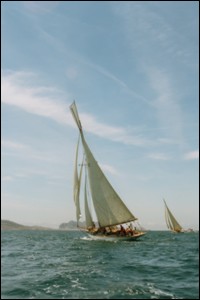 ts_vdvp_1010.jpg (12876 octets)