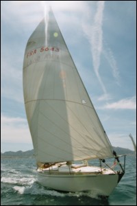 ts_vdvp_1011.jpg (14703 octets)